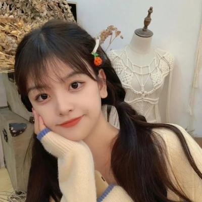 党小组长