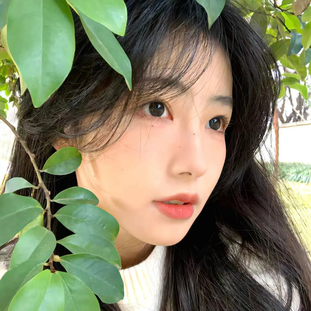 他们选择了自由